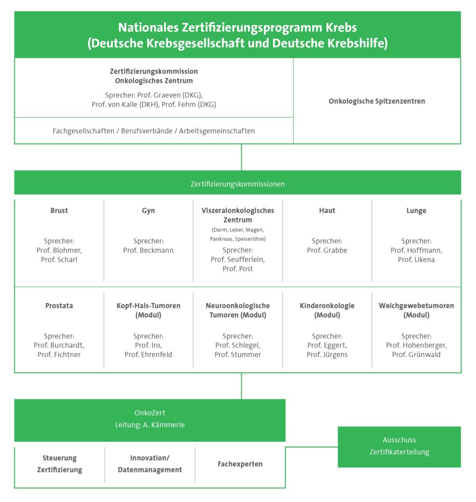 Onkozert_Jahresbericht_2017__en_final.indd - Onkozert